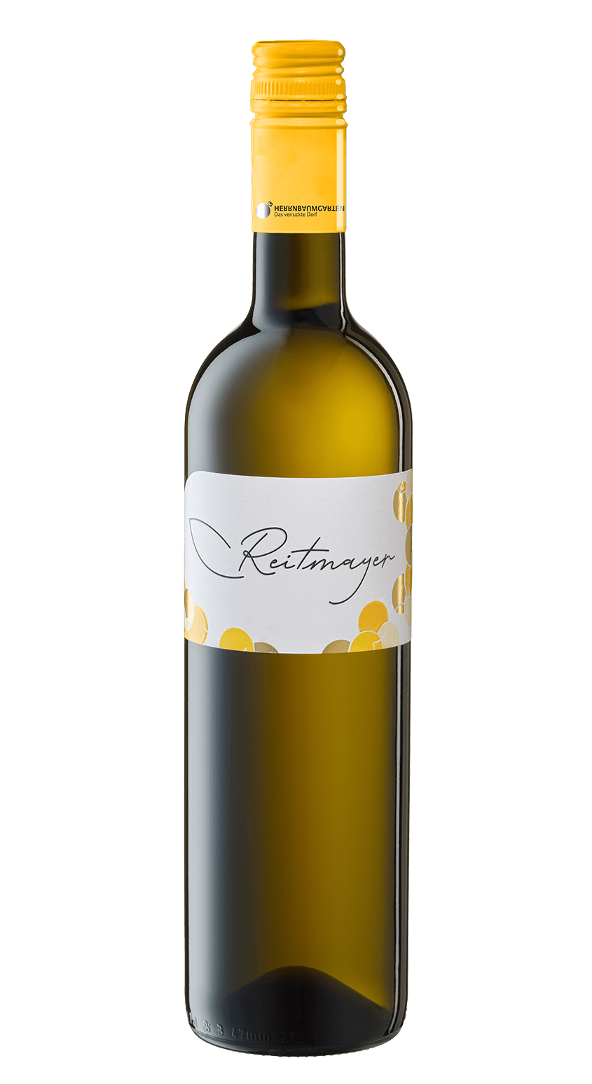 Flaschenfoto Cabernet Blanc SOLO CB